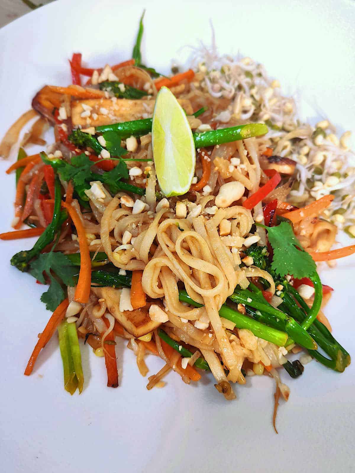 Pad Thai Noodles (Stir-Fry)